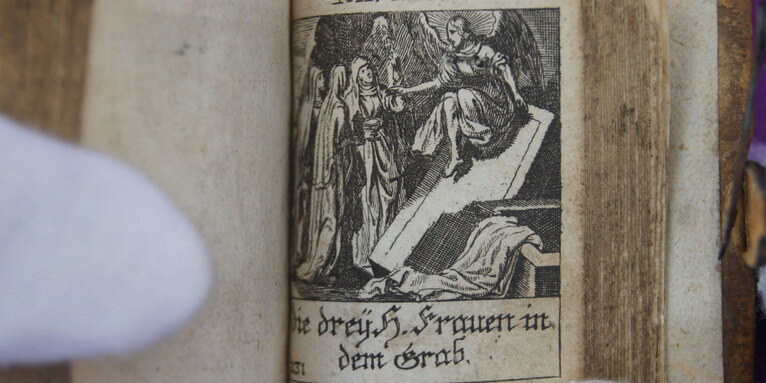 Ungewöhnliche und spannende Fakten erzählen, was zum Beispiel die Bibel mit Schafen und Seerobben zu tun hat., © Bibelzentrum Bayern, Foto: Antonie Bassing.