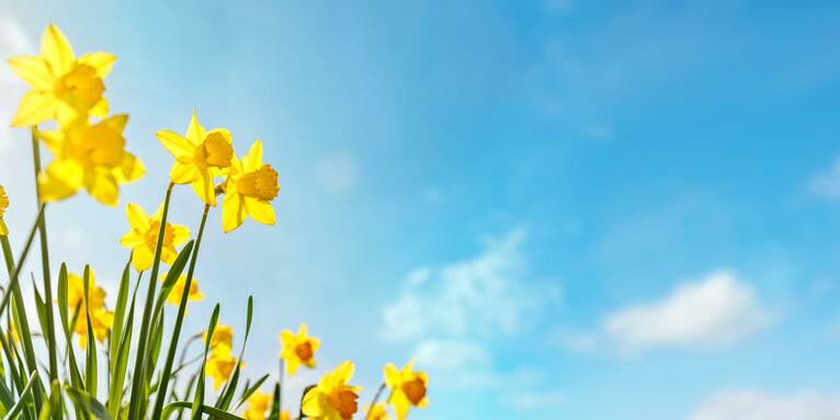 Das Osterlicht ist stärker als alles Leid und alle Angst, die Menschen erfahren. Jesus Christus sagt zu uns an Ostern: Du sollst leben, du wirst leben., © ELKB